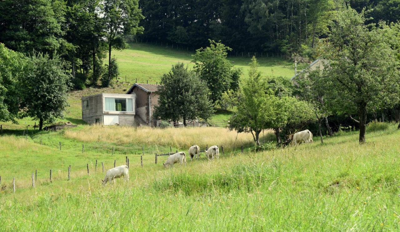 Du Mont Gérard Hébergement de vacances *