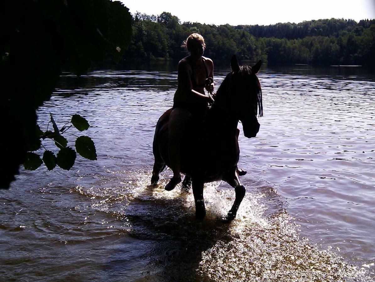 Hébergement de vacances Du Mont Gérard La Lanterne-et-les-Armonts